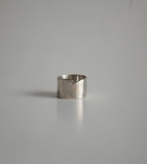 Anillo1