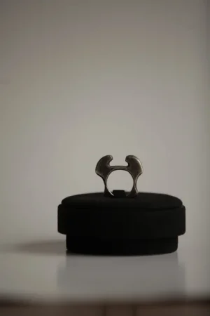 Anillo Plutoncito