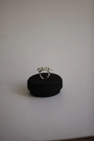 Anillo Julio César – Colección Ring Collection – ROKKUS
